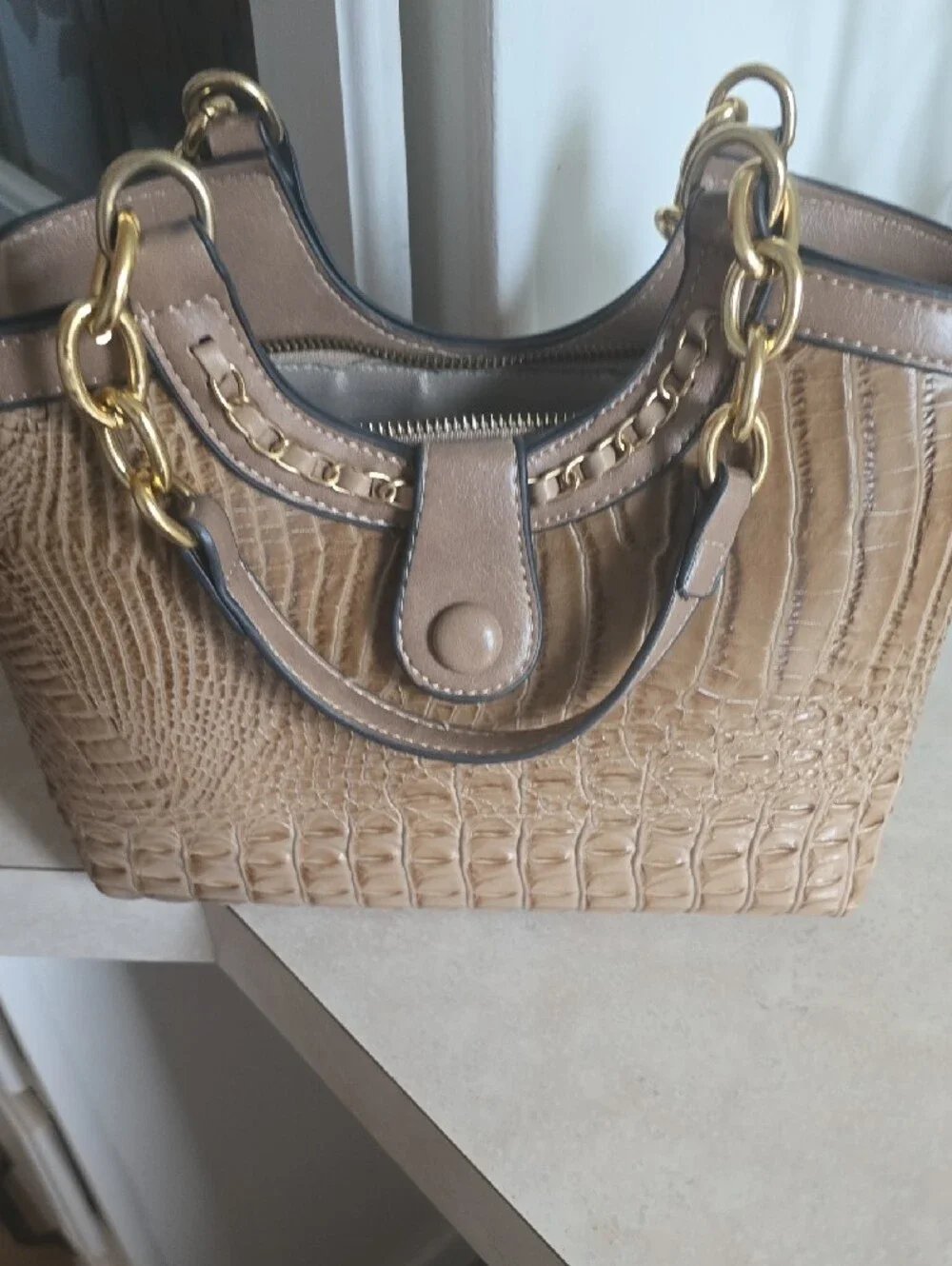 Neutral Beige Men’s Organizer Tote Bag with Green Lining
